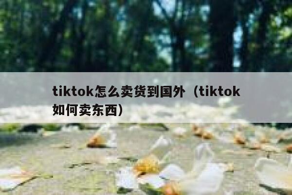 tiktok怎么卖货到国外（tiktok如何卖东西） 第1张