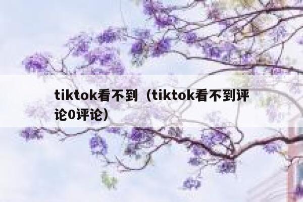 tiktok看不到（tiktok看不到评论0评论） 第1张