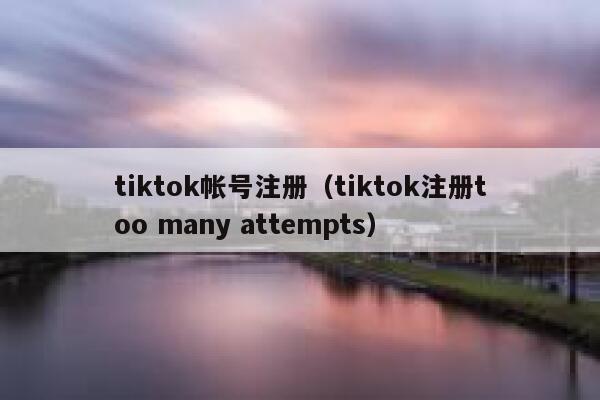 tiktok帐号注册（tiktok注册too many attempts） 第1张