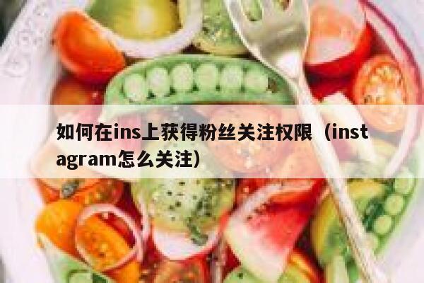 如何在ins上获得粉丝关注权限（instagram怎么关注） 第1张