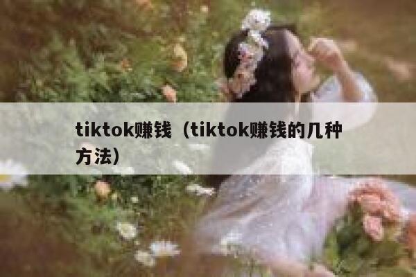 tiktok赚钱（tiktok赚钱的几种方法） 第1张