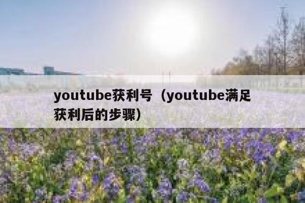 youtube获利号（youtube满足获利后的步骤） 第1张