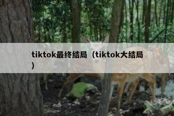 tiktok最终结局（tiktok大结局） 第1张
