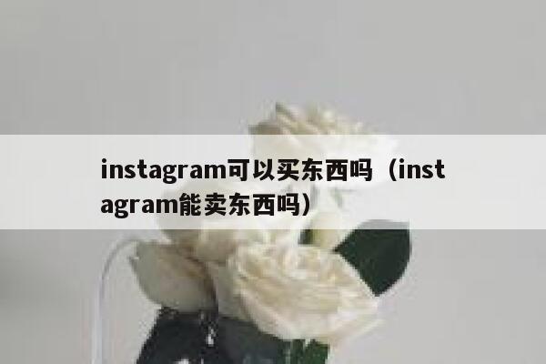 instagram可以买东西吗（instagram能卖东西吗） 第1张