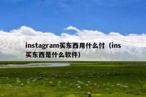 instagram买东西用什么付（ins买东西是什么软件） 第1张