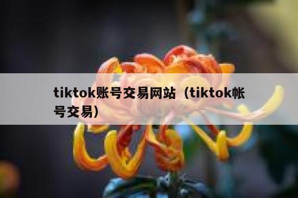 tiktok账号交易网站（tiktok帐号交易） 第1张