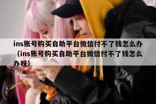 ins账号购买自助平台微信付不了钱怎么办（ins账号购买自助平台微信付不了钱怎么办呀） 第1张