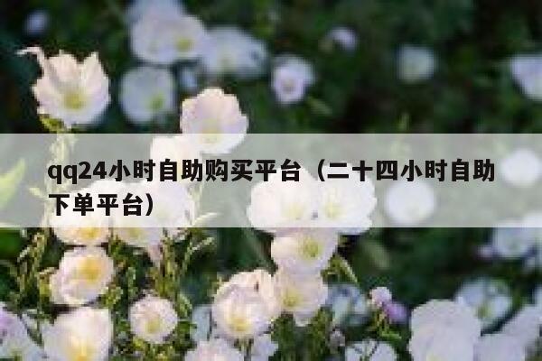 qq24小时自助购买平台（二十四小时自助下单平台） 第1张