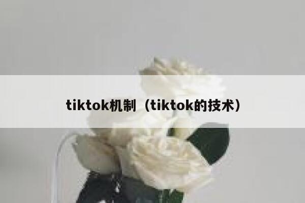 tiktok机制（tiktok的技术） 第1张