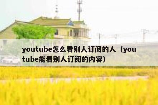 youtube怎么看别人订阅的人（youtube能看别人订阅的内容） 第1张