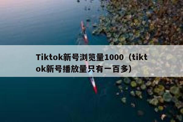 Tiktok新号浏览量1000（tiktok新号播放量只有一百多） 第1张