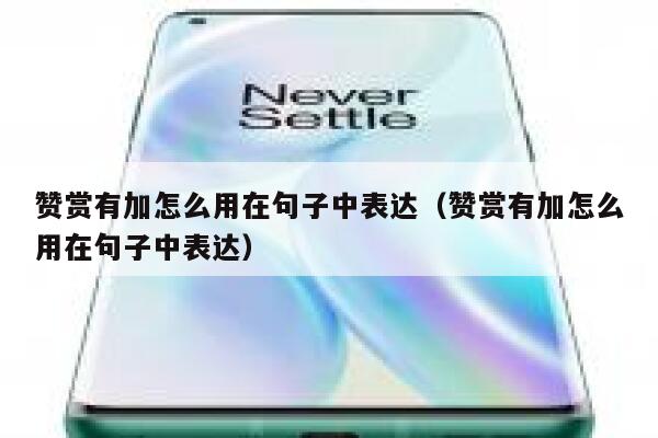 赞赏有加怎么用在句子中表达（赞赏有加怎么用在句子中表达） 第1张