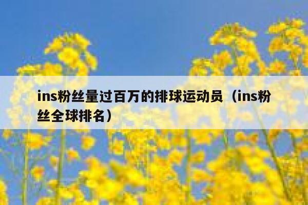 ins粉丝量过百万的排球运动员（ins粉丝全球排名） 第1张
