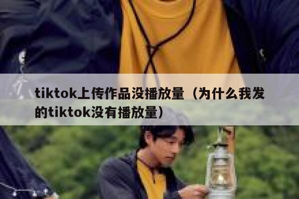 tiktok上传作品没播放量（为什么我发的tiktok没有播放量） 第1张