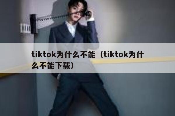 tiktok为什么不能（tiktok为什么不能下载） 第1张