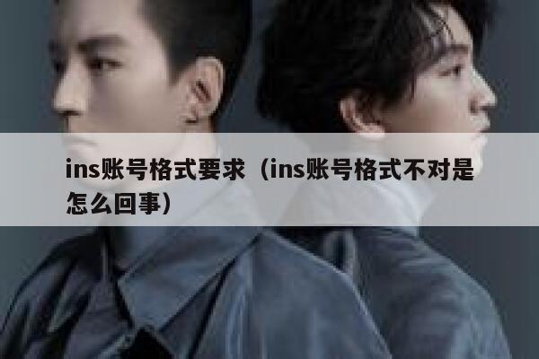 ins账号格式要求（ins账号格式不对是怎么回事） 第1张