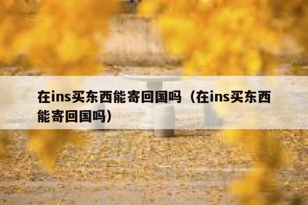 在ins买东西能寄回国吗（在ins买东西能寄回国吗） 第1张