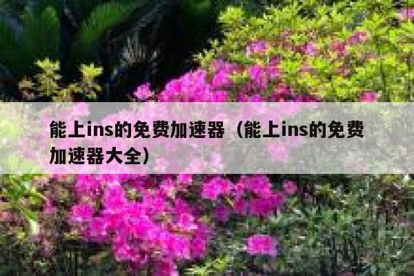 能上ins的免费加速器（能上ins的免费加速器大全） 第1张