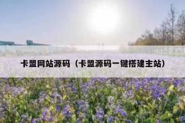 卡盟网站源码（卡盟源码一键搭建主站） 第1张