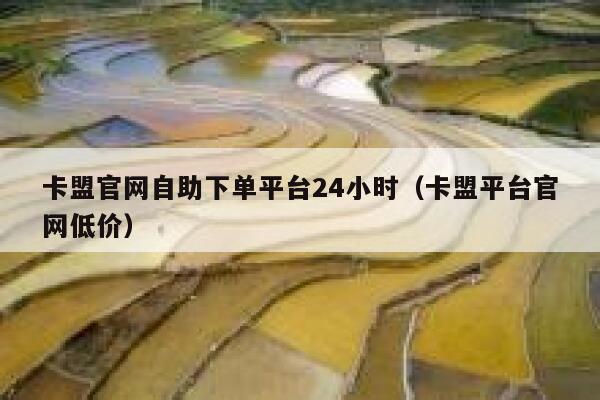 卡盟官网自助下单平台24小时（卡盟平台官网低价） 第1张