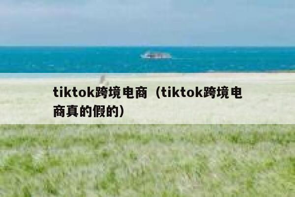 tiktok跨境电商（tiktok跨境电商真的假的） 第1张