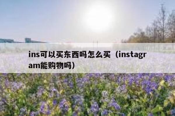 ins可以买东西吗怎么买（instagram能购物吗） 第1张