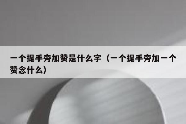 一个提手旁加赞是什么字（一个提手旁加一个赞念什么） 第1张