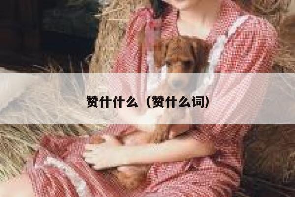 赞什什么（赞什么词） 第1张