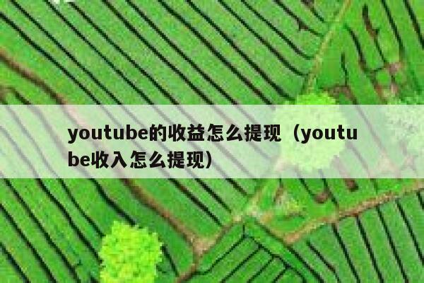 youtube的收益怎么提现（youtube收入怎么提现） 第1张