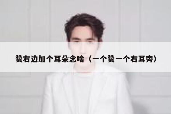赞右边加个耳朵念啥（一个赞一个右耳旁） 第1张