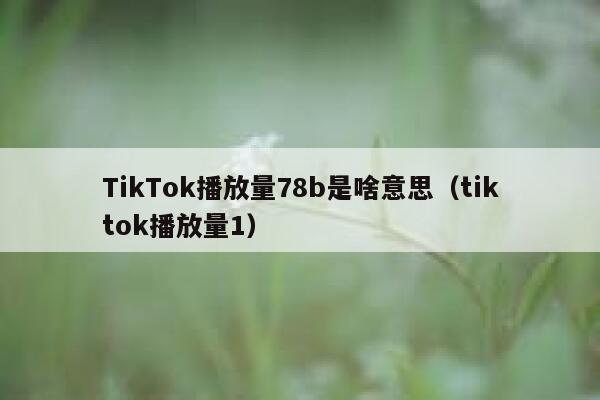 TikTok播放量78b是啥意思（tiktok播放量1） 第1张