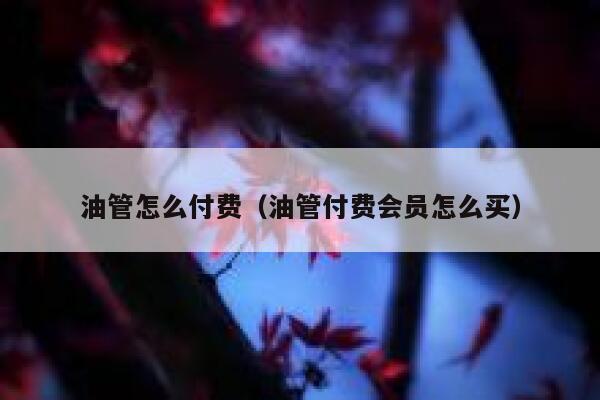 油管怎么付费（油管付费会员怎么买） 第1张