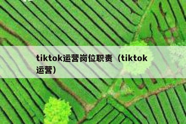 tiktok运营岗位职责（tiktok 运营） 第1张