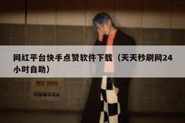 网红平台快手点赞软件下载（天天秒刷网24小时自助） 第1张