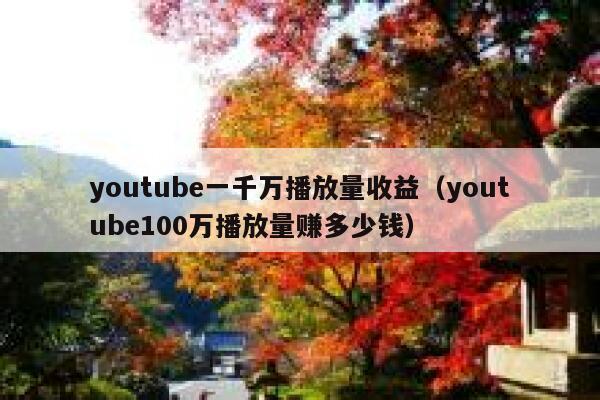 youtube一千万播放量收益（youtube100万播放量赚多少钱） 第1张