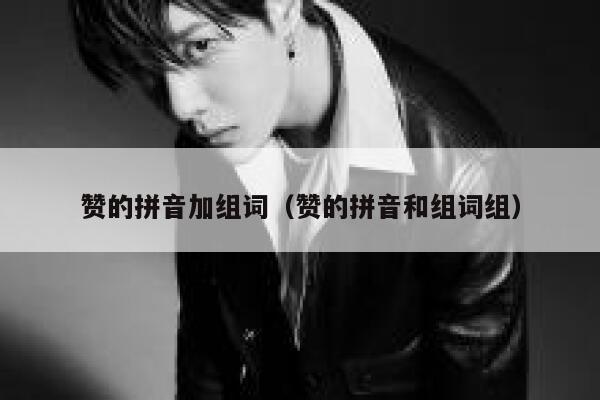 赞的拼音加组词（赞的拼音和组词组） 第1张