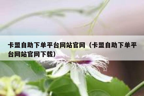 卡盟自助下单平台网站官网（卡盟自助下单平台网站官网下载） 第1张