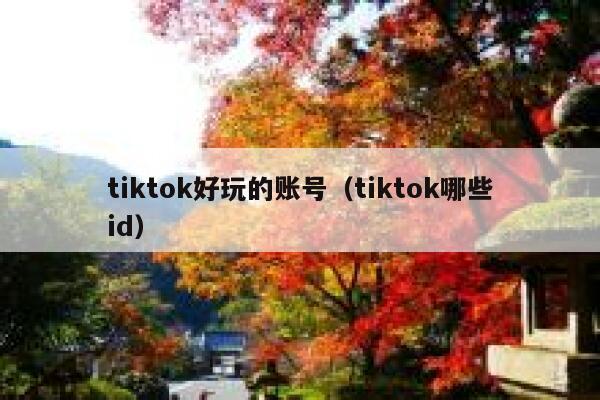 tiktok好玩的账号（tiktok哪些id） 第1张