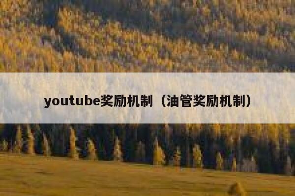 youtube奖励机制（油管奖励机制） 第1张