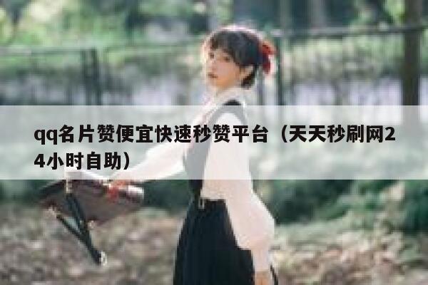 qq名片赞便宜快速秒赞平台（天天秒刷网24小时自助） 第1张