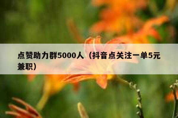 点赞助力群5000人（抖音点关注一单5元兼职） 第1张