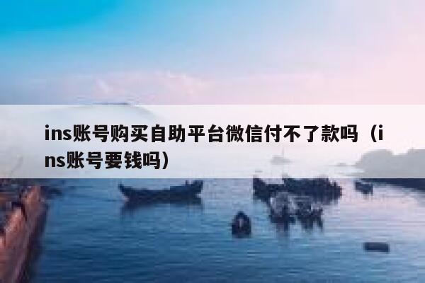 ins账号购买自助平台微信付不了款吗（ins账号要钱吗） 第1张
