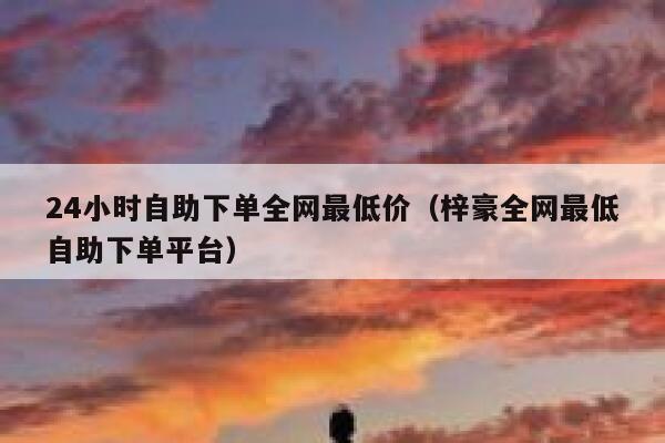 24小时自助下单全网最低价（梓豪全网最低自助下单平台） 第1张