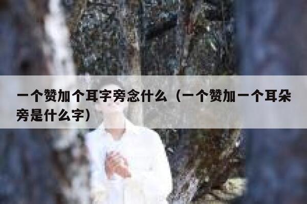 一个赞加个耳字旁念什么（一个赞加一个耳朵旁是什么字） 第1张