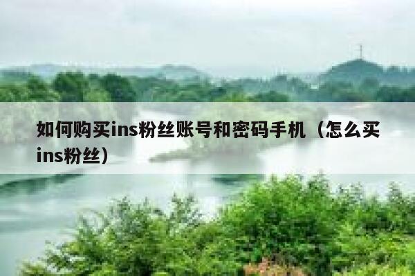 如何购买ins粉丝账号和密码手机（怎么买ins粉丝） 第1张