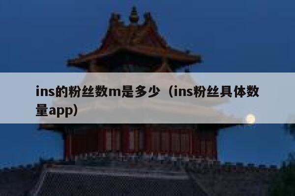 ins的粉丝数m是多少（ins粉丝具体数量app） 第1张
