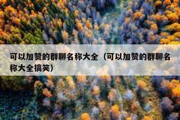 可以加赞的群聊名称大全（可以加赞的群聊名称大全搞笑） 第1张
