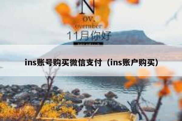 ins账号购买微信支付（ins账户购买） 第1张