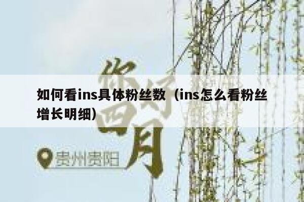 如何看ins具体粉丝数（ins怎么看粉丝增长明细） 第1张