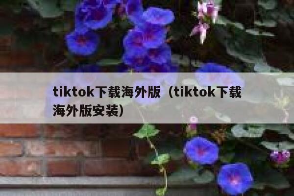 tiktok下载海外版（tiktok下载海外版安装） 第1张
